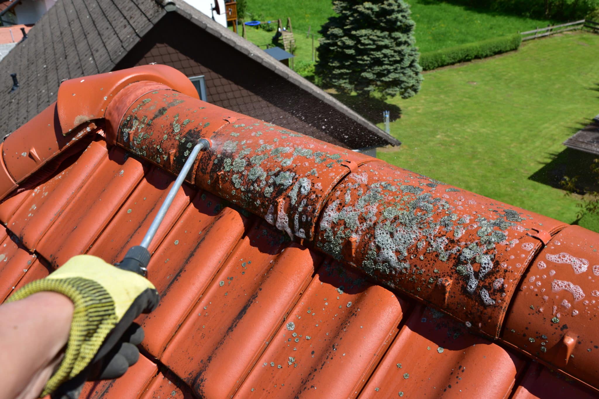 Traitement toiture anti mousse : tout ce qu'il faut connaitre -  picardie-renovation